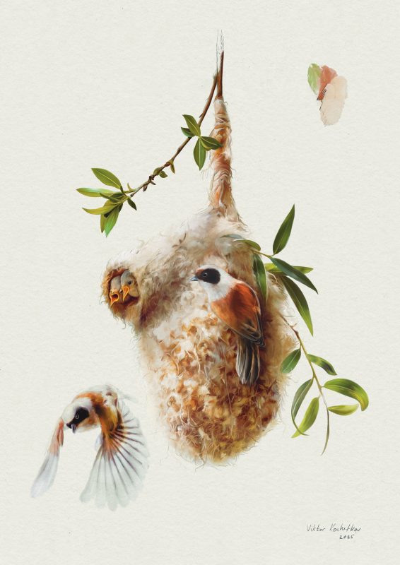 Illustraciencia