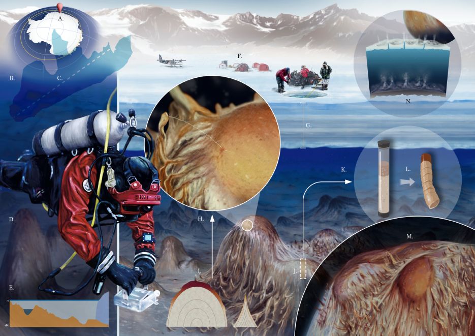 Illustraciencia