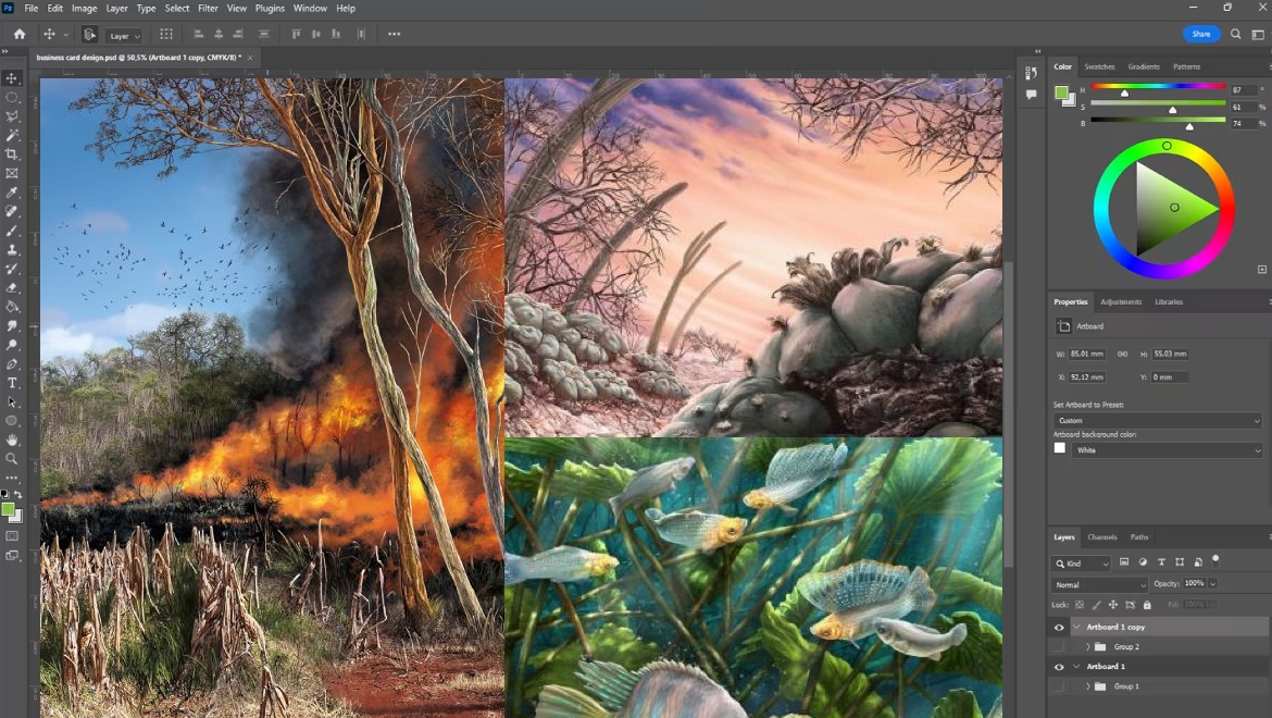 Illustraciencia
