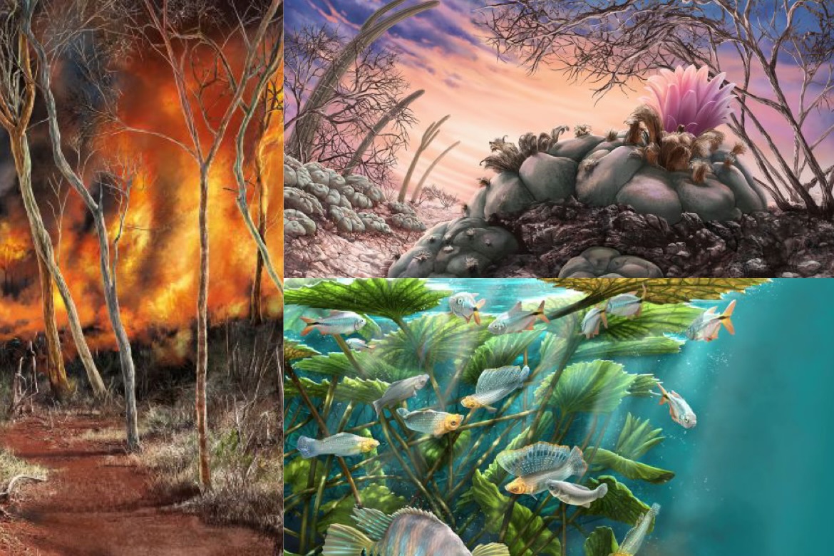 Illustraciencia