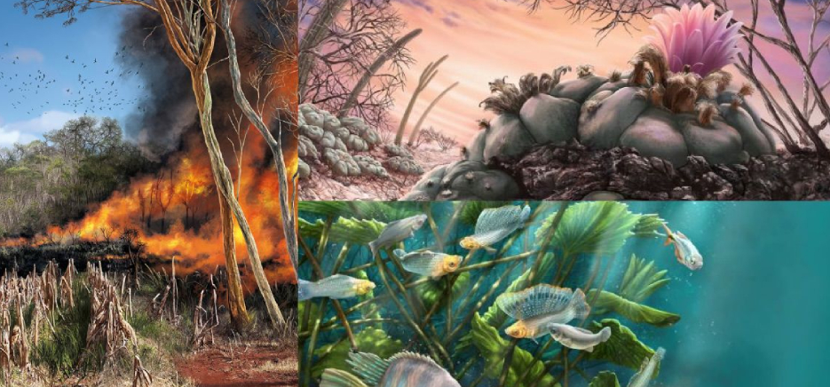 Illustraciencia