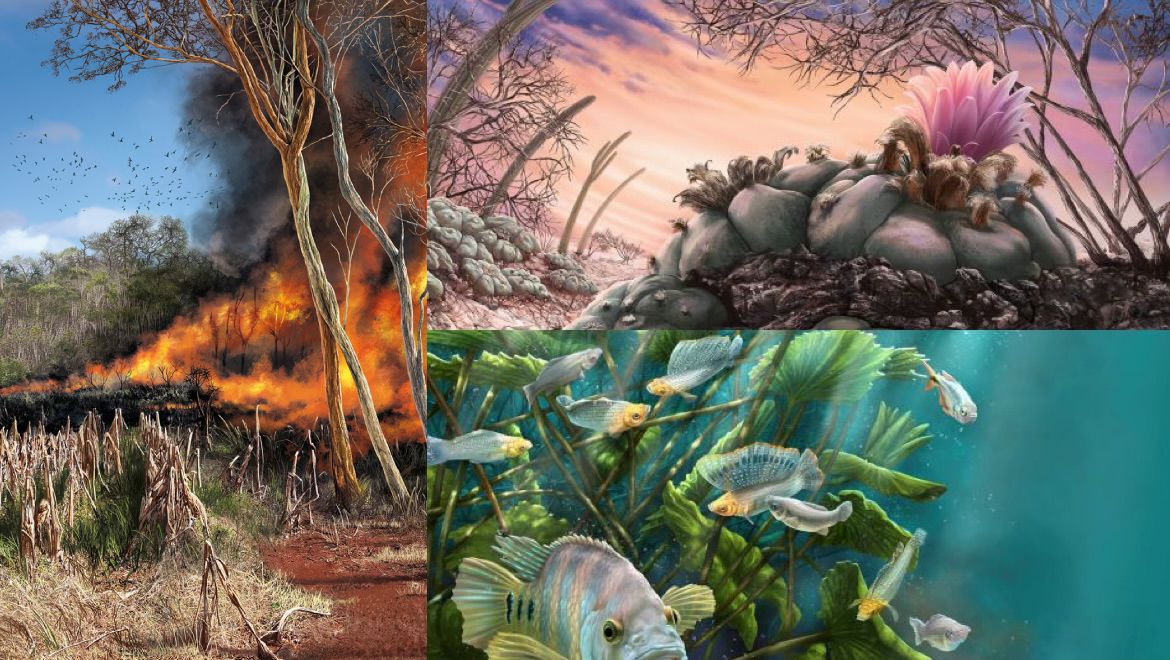 Illustraciencia