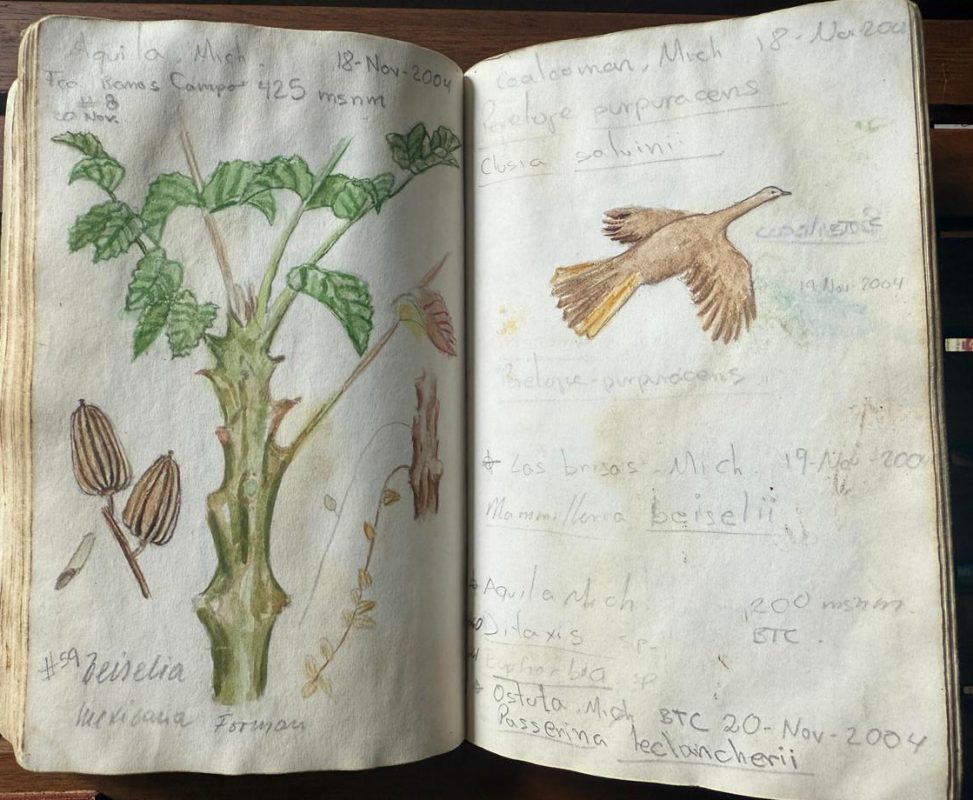 Illustraciencia