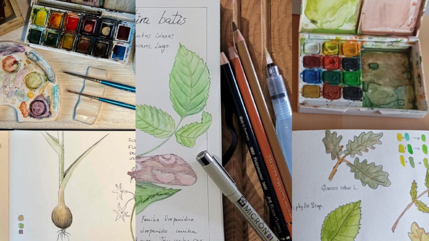 Illustraciencia